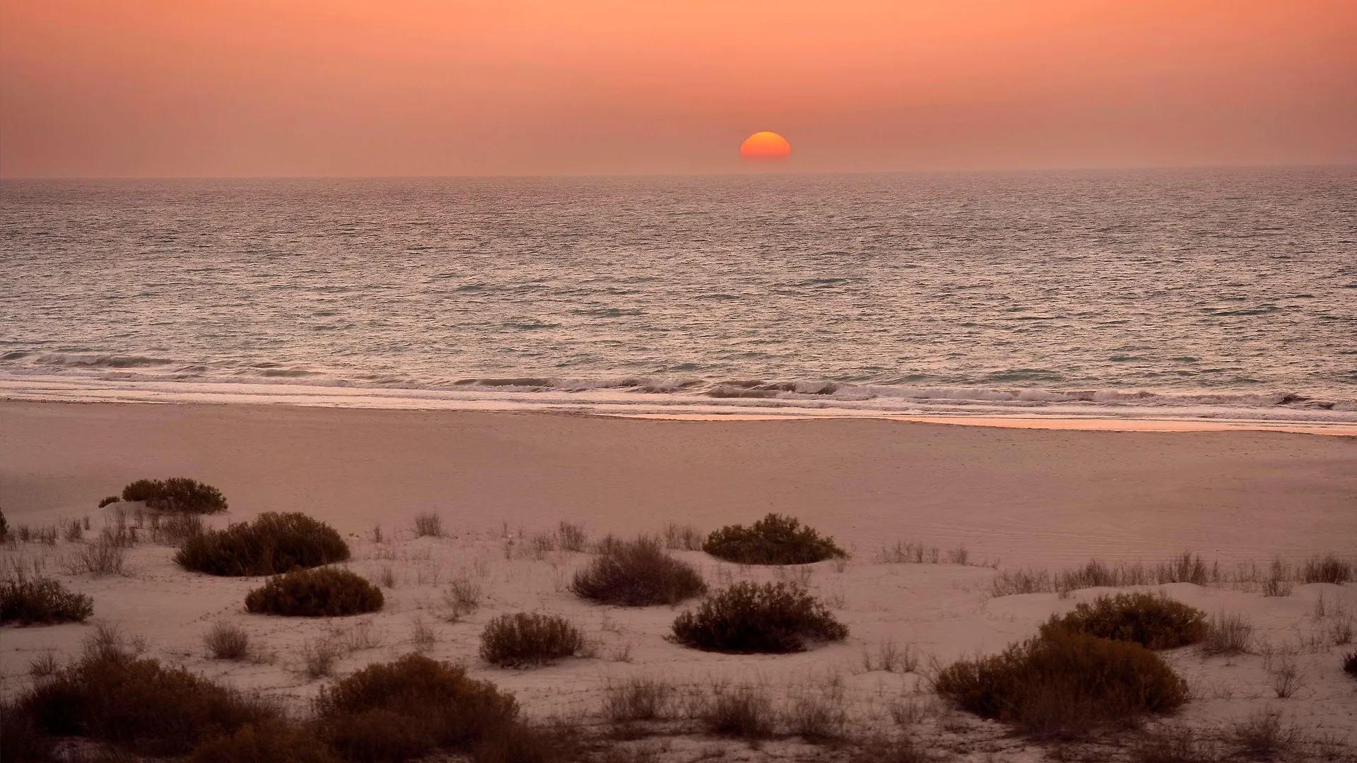Park Hyatt Abu Dhabi Hotel And Villas 5*,  Vereinigte Arabische Emirate